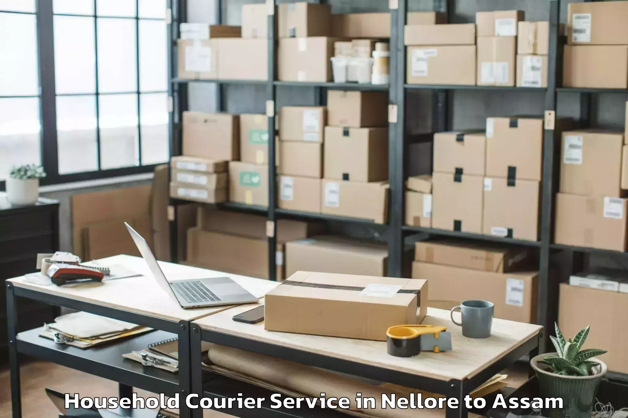 Book Nellore to Goshaingaon Household Courier